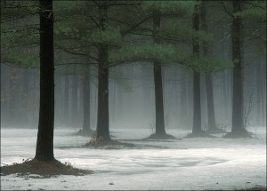 Inviting by Patrick Zephyr Inviting by Patrick Zephyr